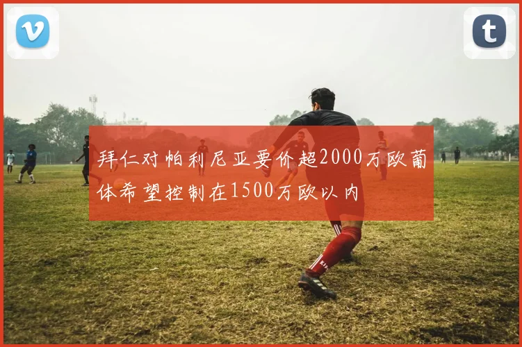 拜仁对帕利尼亚要价超2000万欧葡体希望控制在1500万欧以内